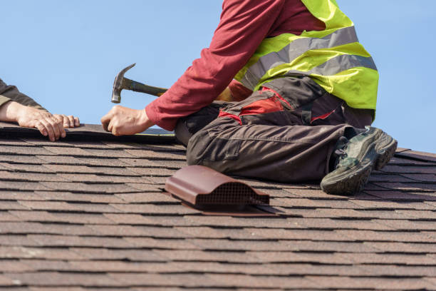 Best Best Roofing Contractors  in Vassar, MI