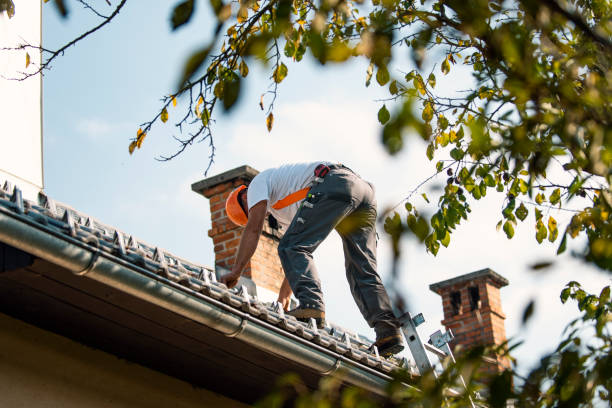 Best Metal Roofing Contractor  in Vassar, MI
