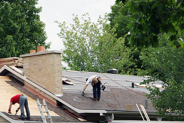 Best Residential Roofing Contractor  in Vassar, MI
