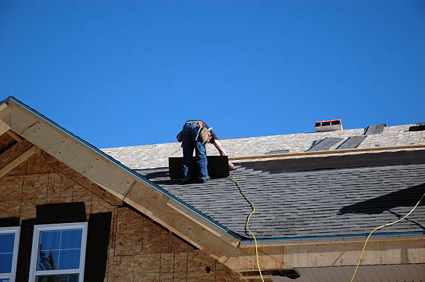 Best Roof Waterproofing Services  in Vassar, MI