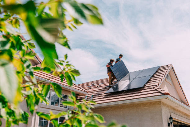 Best Flat Roof Repair Services  in Vassar, MI