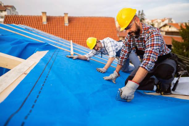 Best Local Roofing Companies  in Vassar, MI