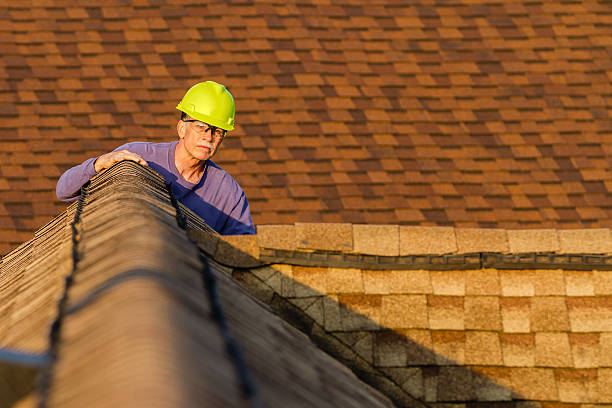 Best Slate Roofing Contractor  in Vassar, MI