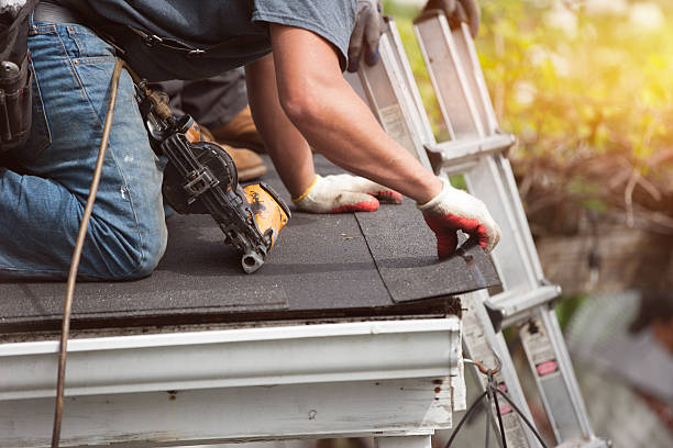 Best Commercial Roofing Services  in Vassar, MI