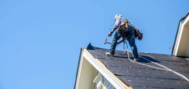 Best Storm Damage Roof Repair  in Vassar, MI